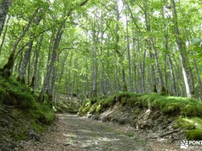 Montaña Palentina.Fuentes Carrionas; Jerga de montañismo Argot de montaña Términos de montaña diccio